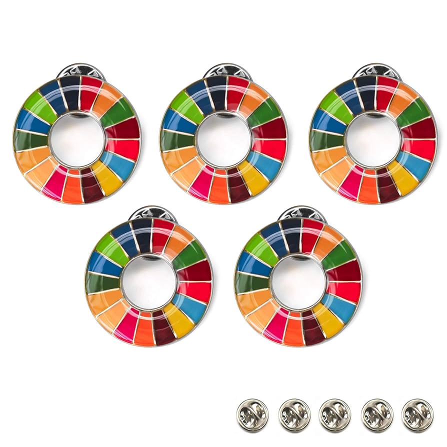 人気❣️バッジ　SDGs 国連 バッジ　ミラーコーティング 丸み仕上げ Amazon.co.jp: Light 【5個セット】SDGsバッジ 国連正規品